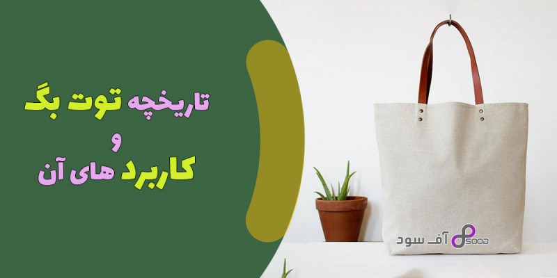 تاریخچه توت بگ و کاربردهای آن